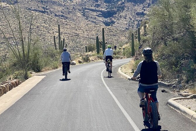 Saguaro National Park East E-Bike Tour - Logistics