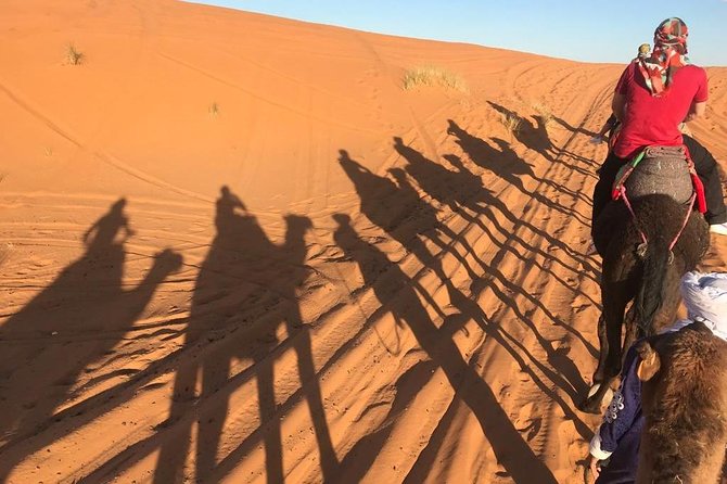 Sahara Desert 3 Days Trip From Marrakech to Fez - Day 3: Sahara to Fez