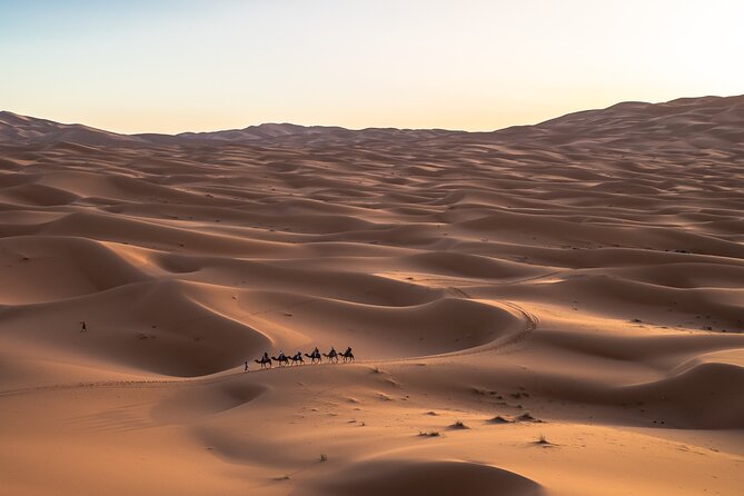 SAHARA DESERT: Shared 3 Day Tour From Marrakech via Dadès Valley - Transportation and Guides