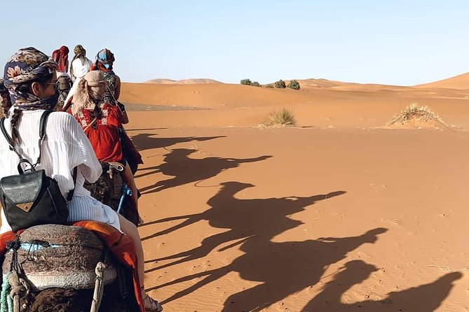 Sahara of Merzouga Overnight Desert Safari From Fes  - Fez - Inclusions and Exclusions