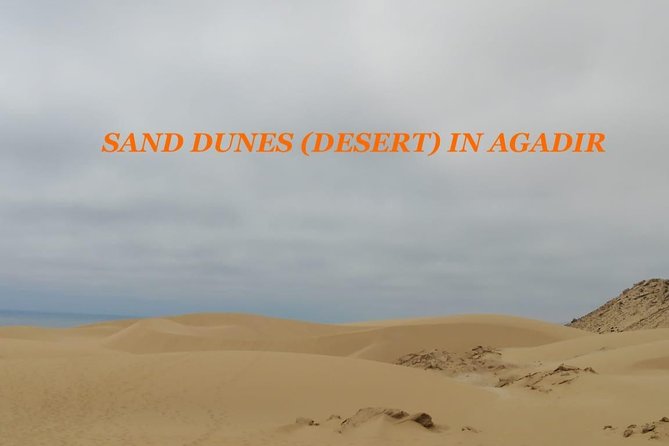 Sahara Tour : Half Day Trip to Sahara (Sand Dunes ) With Lunch - Itinerary Details