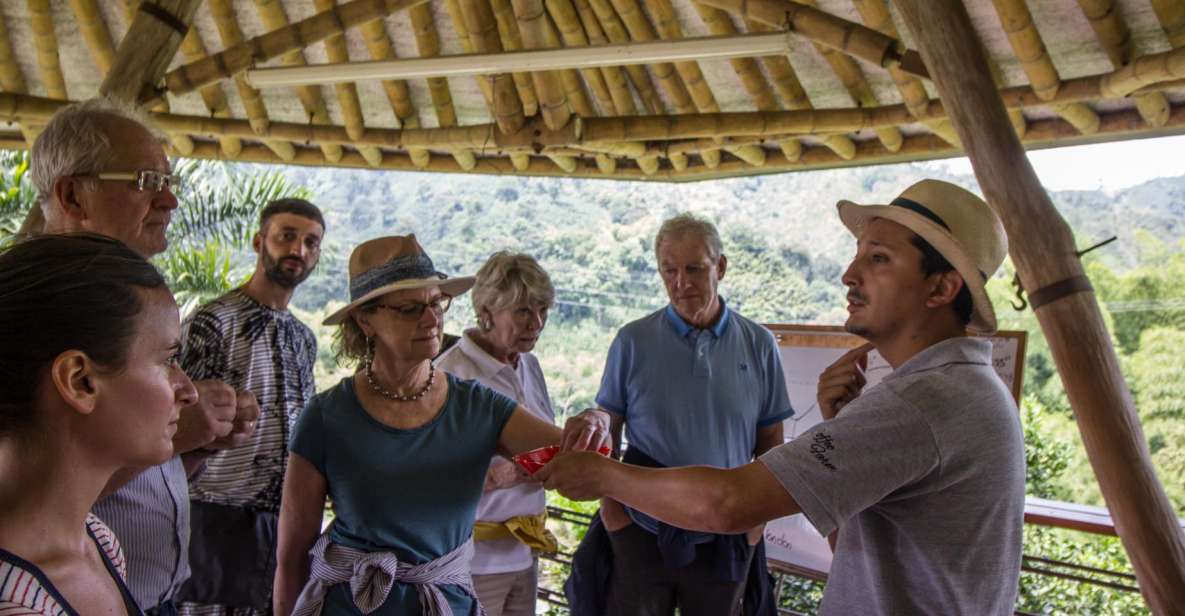 Salento: Private Hacienda Venecia Coffee Tour - Experience Highlights