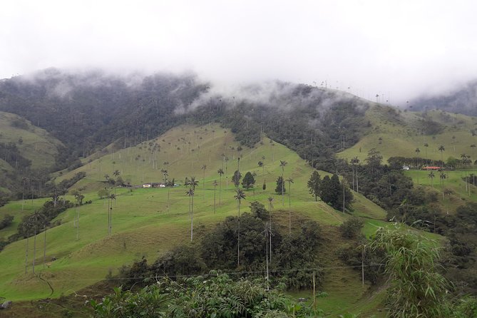 Salento Valle Del Cocora and Filandia - Booking Information