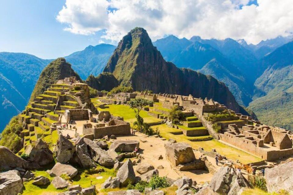 Salkantay Trek to the Wonder of Machu Picchu: 5 Days - Inclusions and Services