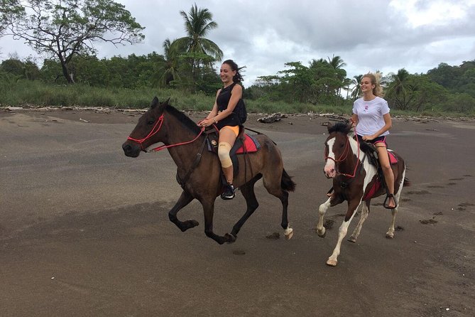 Samara Small-Group Horseback Ride Along a Beach  - Sámara - Logistics