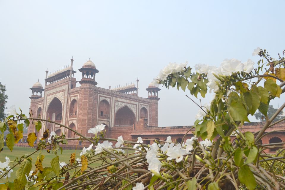 Same Day Agra Tour From Delhi - Activity Highlights and Local Guide