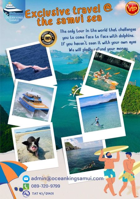 Samui Dolphins Tour by Catamaran Yacht - Tour Experience