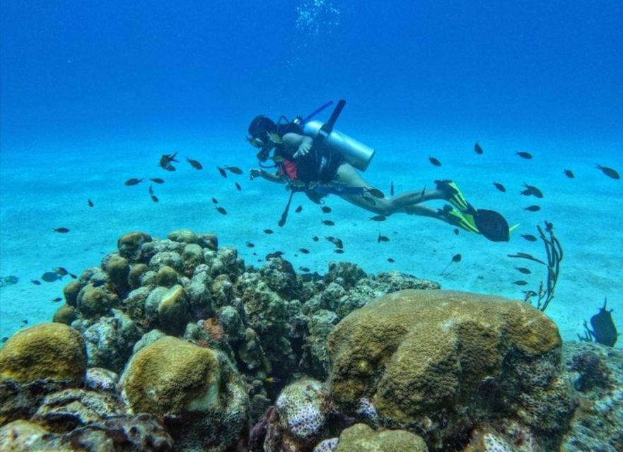 San Andrés Island: Personalized Mini Scuba Diving Course - Diving Experience