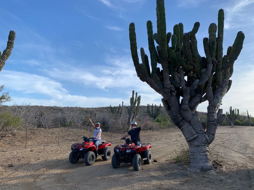 San José Del Cabo: Half-Day Guided ATV Ride With Transfers - Inclusions in the Tour Package