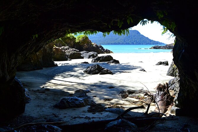 San Josef Bay Tour