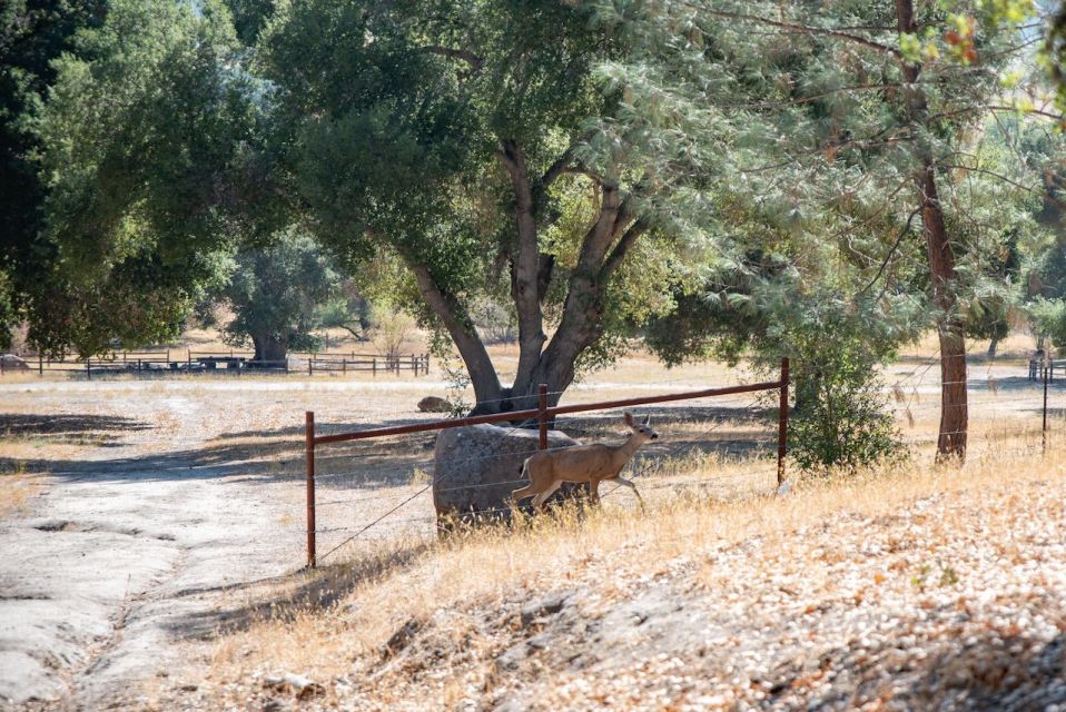 San Luis Obispo: Margarita Ranch Foraging Tour - Experience Highlights