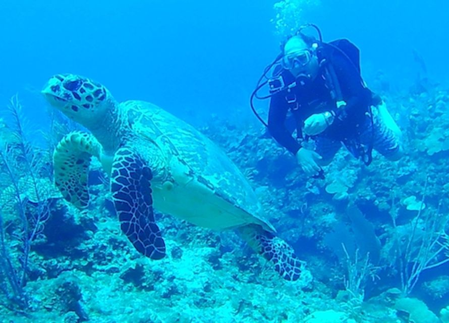 San Pedro, Belize Scuba Diving - Scuba Diving Experience Highlights