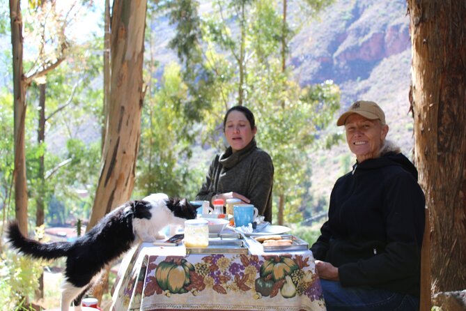 San Pedro Ceremony in Cusco - Benefits of Participating