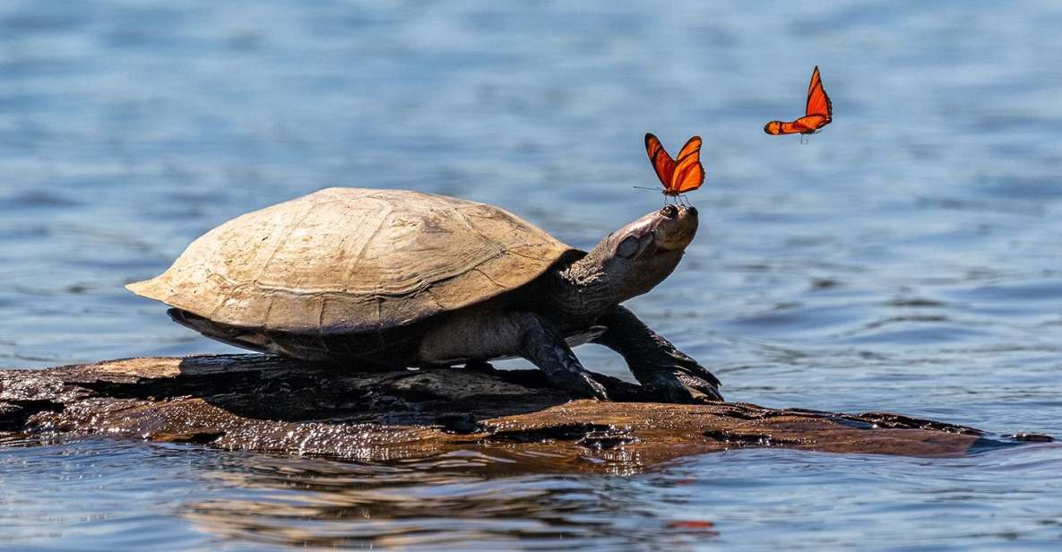 Sandoval Lake Yacumama Lake Piranha Fishing 5 Days - Wildlife Encounters