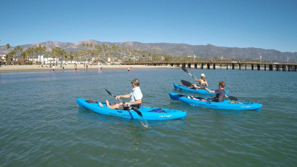 Santa Barbara: 1.5-Hour Harbor Kayak Tour - Tour Highlights