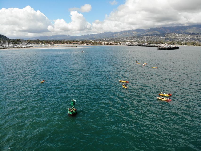 Santa Barbara: Guided Sea Lion Kayaking Tour - Experience Highlights