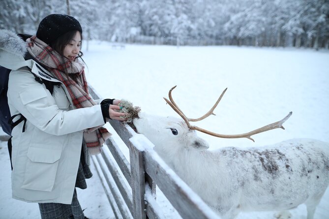 Santa Claus Village, Husky and Reindeers Combo Safari - Additional Booking Info