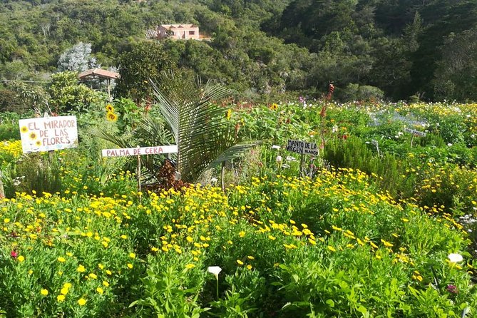 Santa Elena Trip: Silleteros and Flower Farm Cultural Tour - Common questions