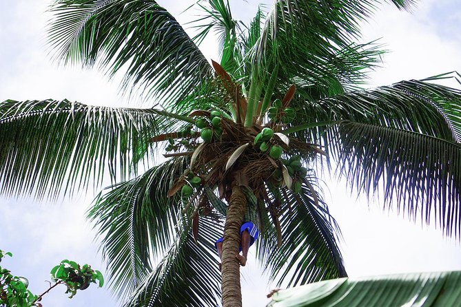 Santiago Island: Banana Plantation, Natural Park & Workshop With a Local Family - Local Family Workshop