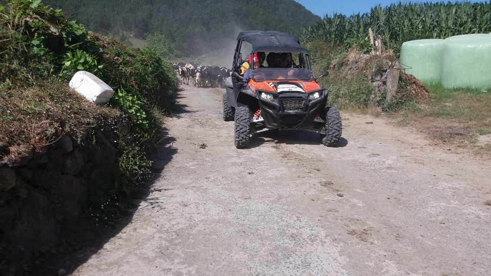 São Miguel: Half-Day Coast to Coast Buggy Tour (shared) - Tour Experience and Highlights