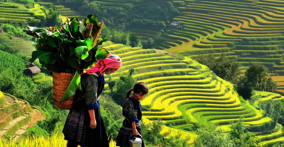 Sapa: 3-Day, 3-Night Trek and Hotel With Overnight Train - Experience Highlights