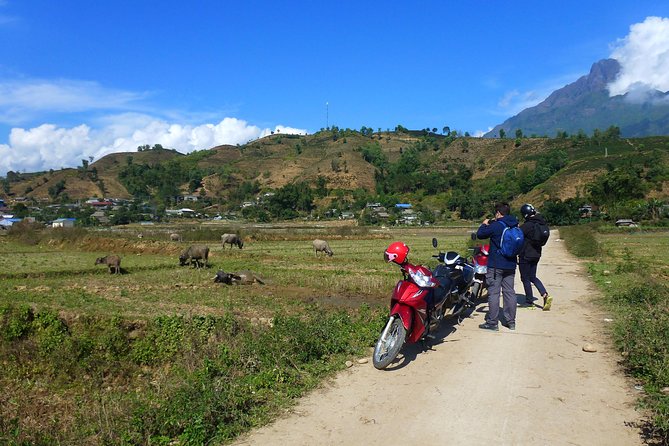 Sapa Full Day Motorbike Tour - Traveler Reviews