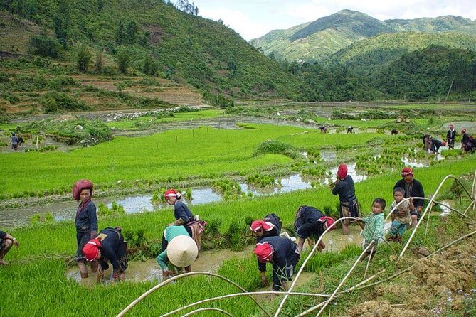 Sapa Real Experience 2 Days 1 Night at Local People House - Meeting and Pickup Information