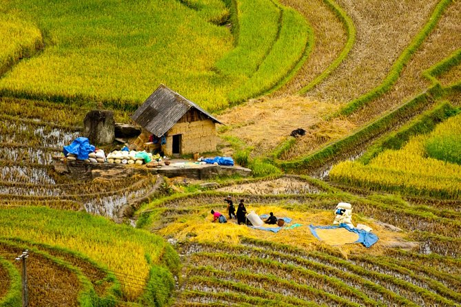 Sapa Villages Trekking and Homestay 2 Days/ 1 Night Package Tour: Best Selling - Itinerary Details
