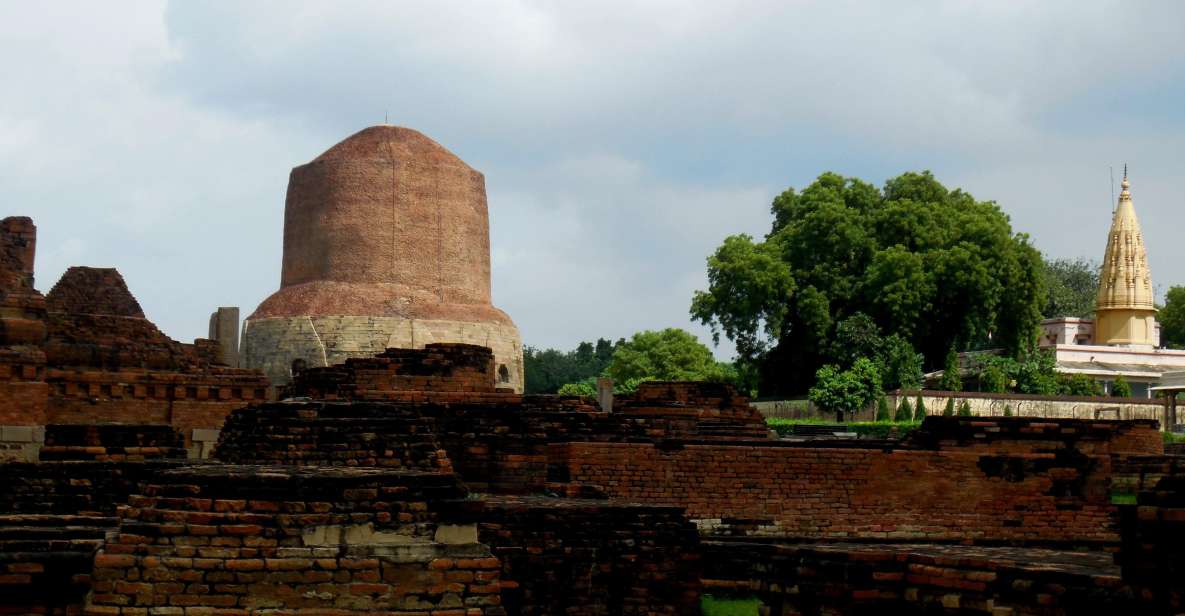 Sarnath Tour With Your Personal Guide - Tour Experience Highlights