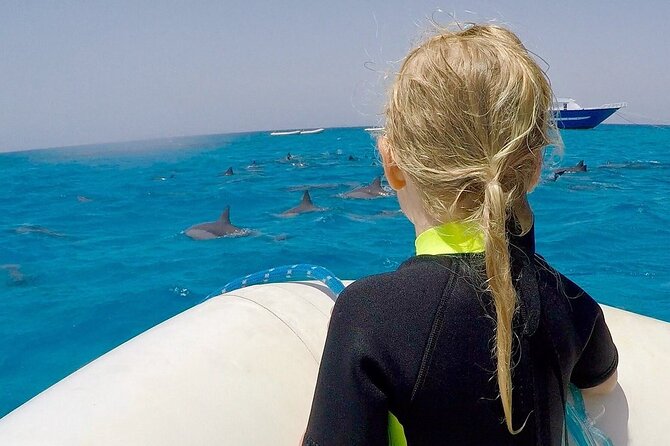 Sataya Dolphin House Snorkel Trip - Marsa Alam - Excursion Inclusions