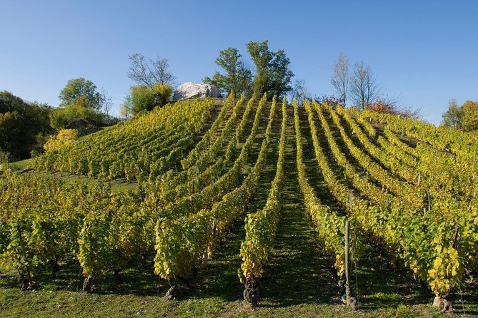 Savoyard Vineyards Tour (8 Hours) - Private Driver - From Annecy - Itinerary Highlights