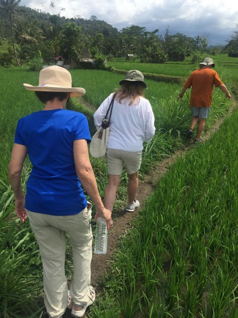 Scene of Sidemen Trekking - Immersive Cultural Experience in Sidemen