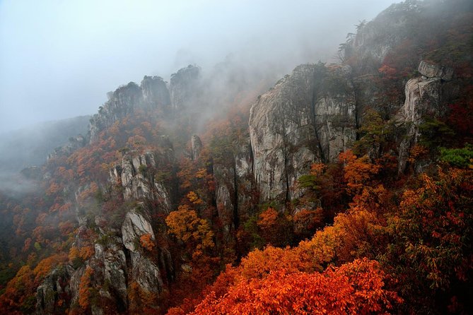 Scenic Daedunsan Provincial Park Day Trip From Seoul - Logistics