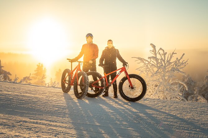 Scenic Electric Fat Bike Group Ride in Rovaniemi - Group Size and Fitness Level