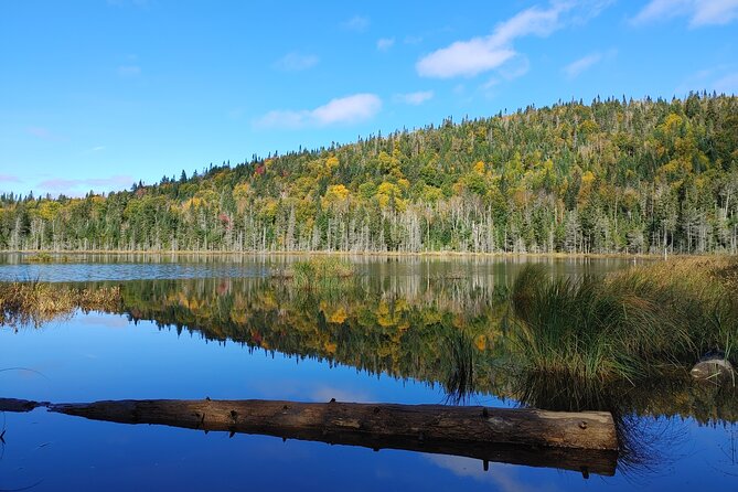 Scenic Hiking Adventure at Mont-Orford National Park - Scenic Trails and Landscapes