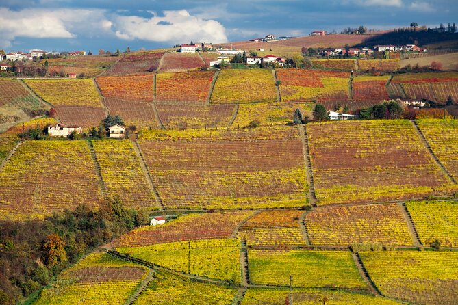 Scenic Langhe Hike and Wine Tasting From Alba  - Langhe-Roero and Monferrato - Experience Highlights