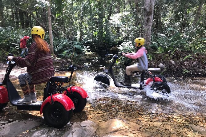 Scooter Tours Through Tsitsikamma National Park - Safety Precautions