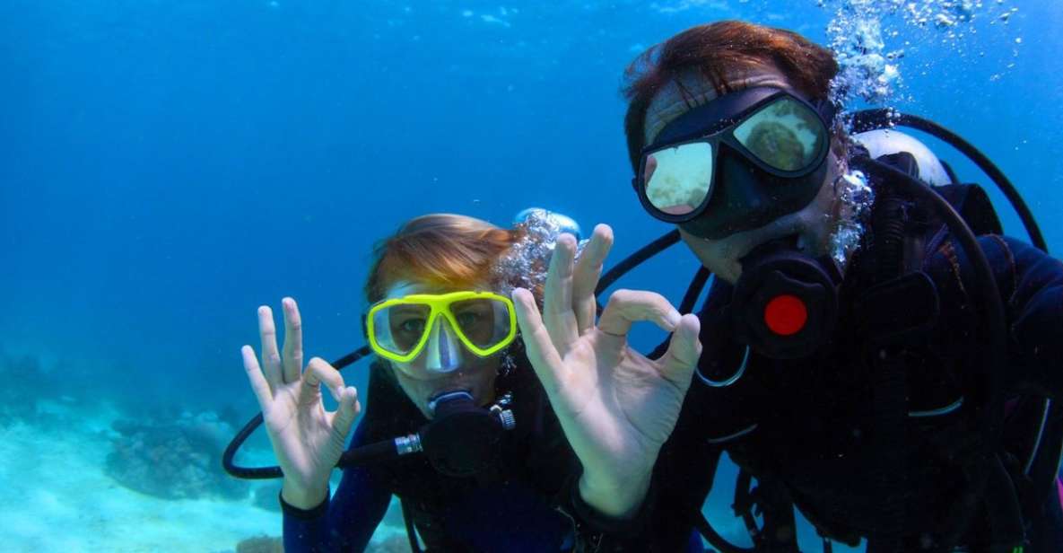 Scuba Certified Diving Immersion at Maroma Beach - Experience and Highlights