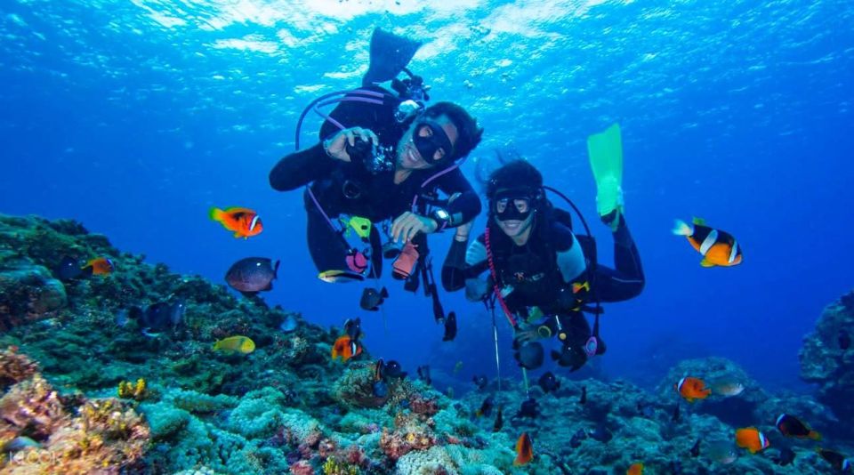 Scuba Diving: Explore the Depths of Alanya - Activity Highlights and Description