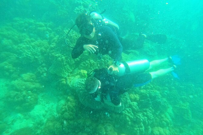 Scuba Diving for Certified Divers in Phu Quoc Island - Weather Considerations