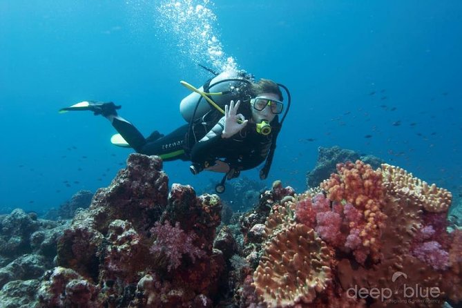 Scuba Diving Full of Adrenaline in Antalya - Equipment Provided for Diving