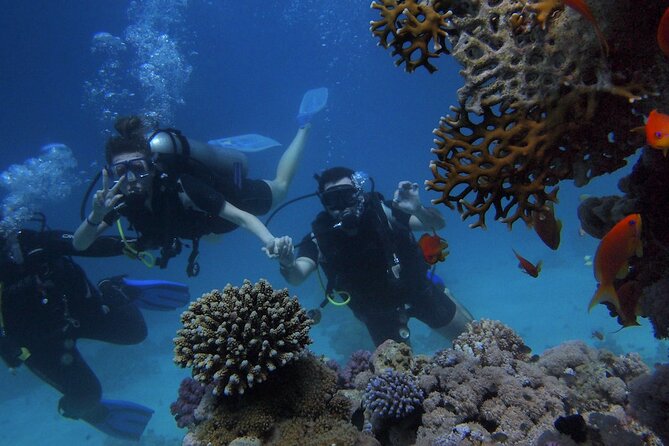 Scuba Diving Tour in Antalya With Lunch and Transfer - Experience Highlights