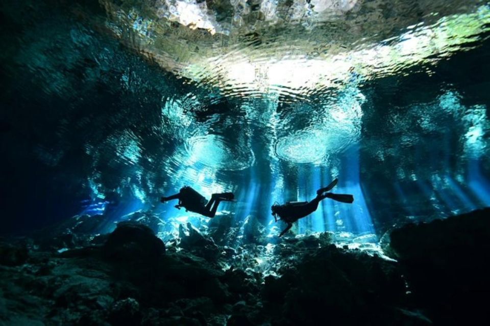 Scuba Diving Tulum Beginners: Explore the Underwater World - Experience Inclusions