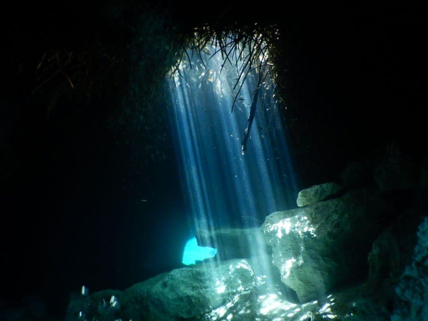 Scuba in 2 Cenotes in a Half-Day - Highlights of Cenote Diving Experience