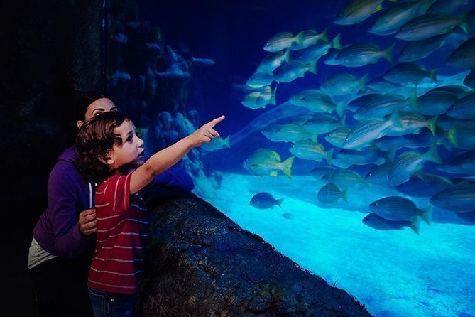 SEA LIFE Blackpool Admission Ticket - Traveler Reviews