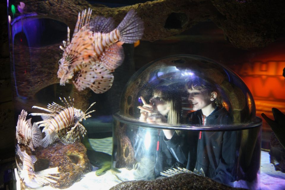 SEA LIFE Istanbul Entry Ticket - Experience Highlights