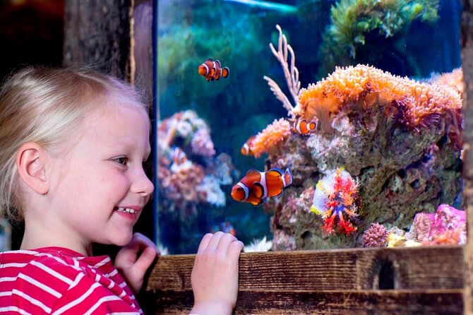 SEA LIFE Oberhausen Admission Ticket - Inclusions and Services