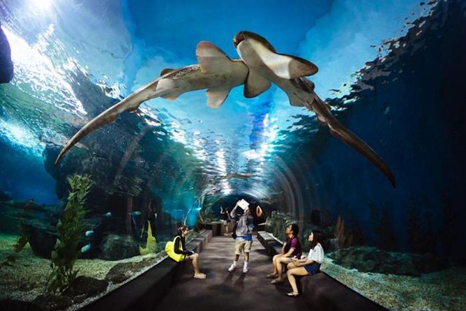 SEA LIFE Ocean World at Bangkok Admission Ticket - Booking Information and Process