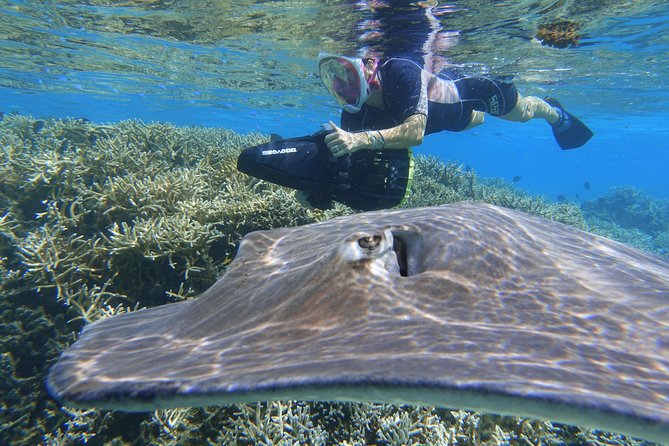 Sea Scooter Jet Snorkeling "Moorea Dream Adventure" - Participant Expectations