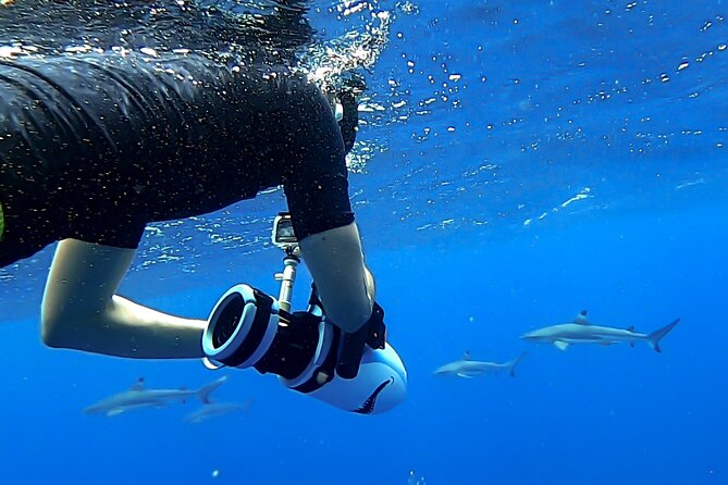 Sea Scooter Snorkel Tour - Guided Ocean Safari Reef and Lagoon Adventure - Cancellation Policy